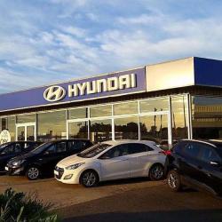 Hyundai Motors Cars