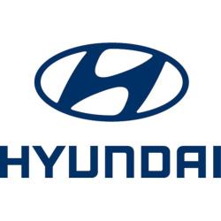 Hyundai Troyes - Groupe Froment