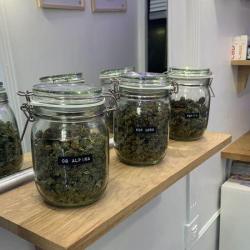 Hyzer - Cbd Shop Paris