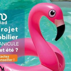 Iad France