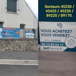 Iad Willy Camus Conseiller Immobilier