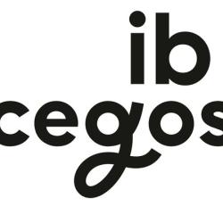 Ib Cegos Formation Informatique Nancy