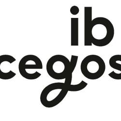 Ib Cegos Formation Informatique Paris