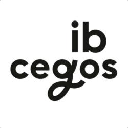 Ib Cegos Formation Informatique Rouen