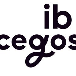 Ib Cegos Formation Informatique Tours
