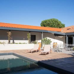 Ibis Montauban