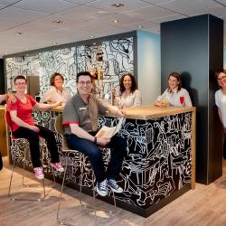 Ibis Vannes
