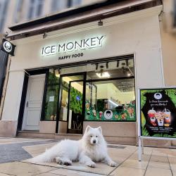 Ice Monkey Avignon