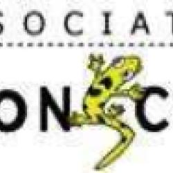 Iconscope