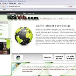 Idsvib