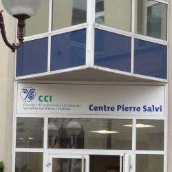 Ifa Pierre Salvi