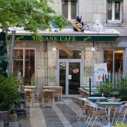 Iguane Café