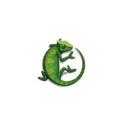 Iguane Informatique