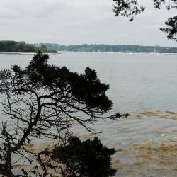 Ile D'arz
