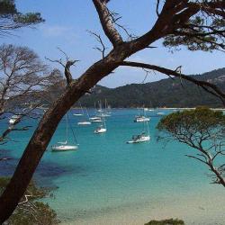 île De Porquerolles