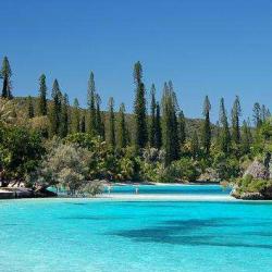 Ile Des Pins