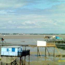 Ile Madame