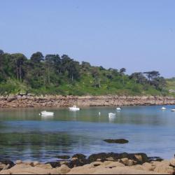Ile Milliau