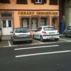 Immobilier Cesard