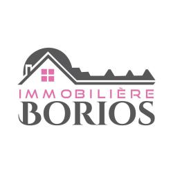 Immobiliere Borios - Immobilier Chalon Sur Saone