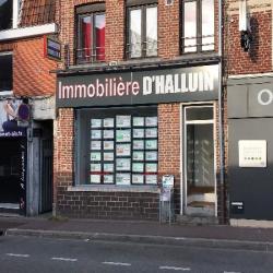 Immobiliere D'halluin