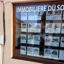 Immobilière Du Sornin