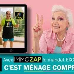 Immozap L'agence Immobilière