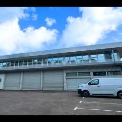 Impact Outremer Guadeloupe