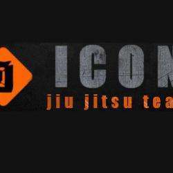 Impactu Icon Jiujitsu Team