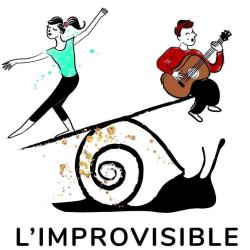 Improvisible