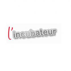 Incubateur Telecom Sud