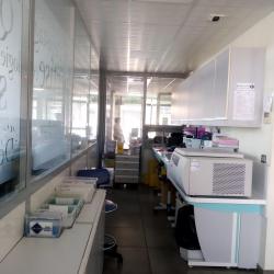 Inovie Biomedilab - Toulouges
