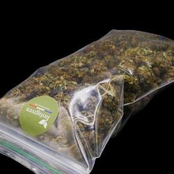 Instagreen Grossiste Cbd Marseille