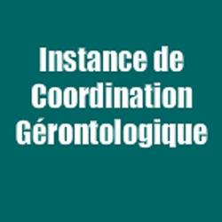 Instance De Coordination De L'autonomie