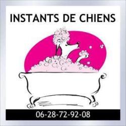 Instants De Chiens