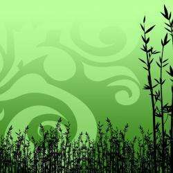 Institut Bio Natur'elle