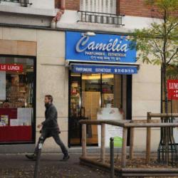 Institut Camélia