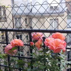 Institut Du Mal De Tête - Spécialiste De La Migraine