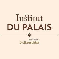 Institut Du Palais