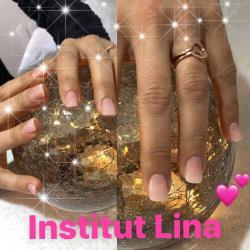 Institut Lina