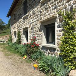 Institut M Morgane Planchon