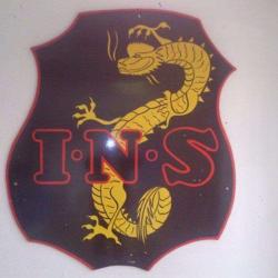 Institut Nicois Sports