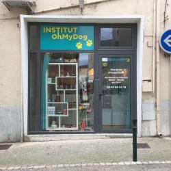 Institut Oh My Dog