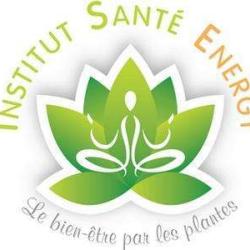 Institut Santé Energy