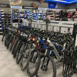 Intersport