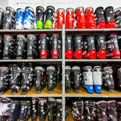Intersport