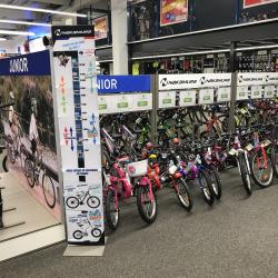Intersport