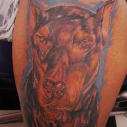 Intraderm'ink Tattoo Studio