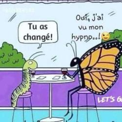 Isabelle Reuillé Hypnosoinzen