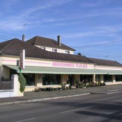 Isis Migennes Fleurs